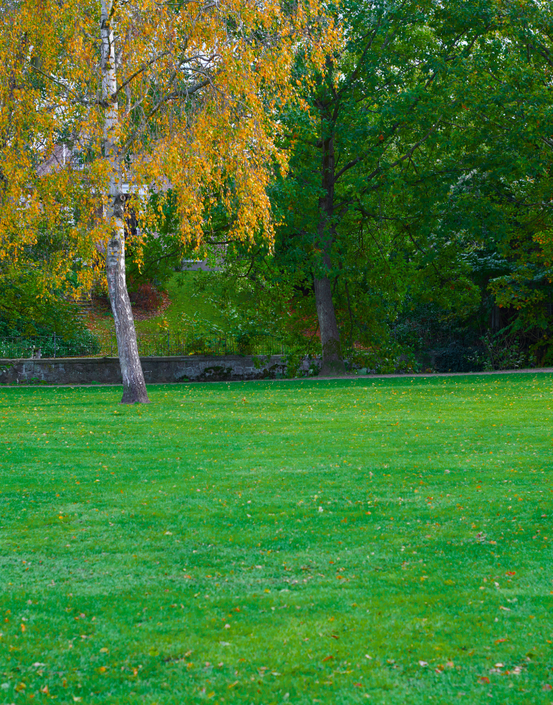 Jardin - Laurent Lacroix, Parc et jardin