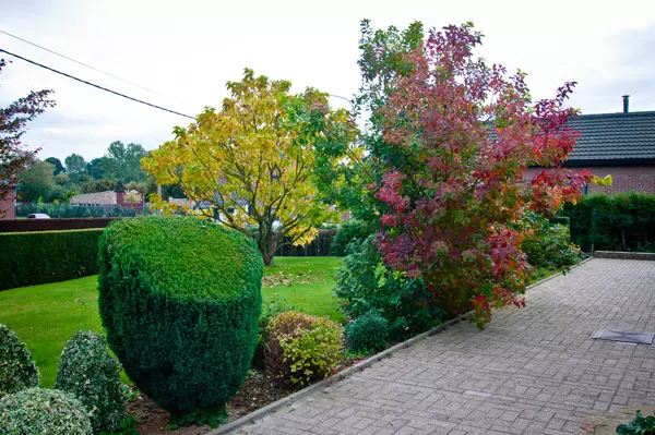 Allée - Laurent Lacroix, Parc et jardin